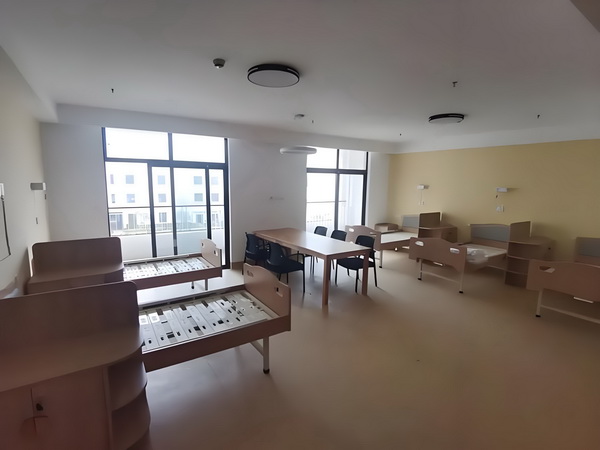 本科如何申请深圳户口_《南京照相馆》很好，能爆！ 能爆表示一名业内人士