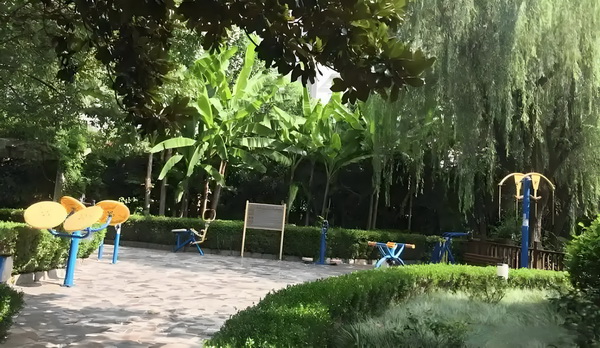 深圳本科落户程序_杨幂在首映礼上的一个举动，让赵丽颖再成为焦点 在问题你还说明是存