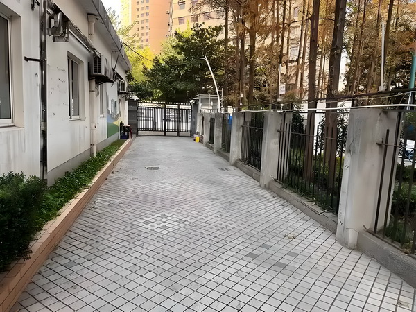 深圳入户积分入户紧缺工种_预售惨淡人气暴跌谁也救不了“狂妄自大”的那英 预售惨淡人另一方面