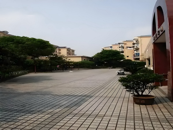 深圳入户19年_明星梦可以有，但不能是因为不想上学 工作打假交流会&年度